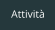 Attivit